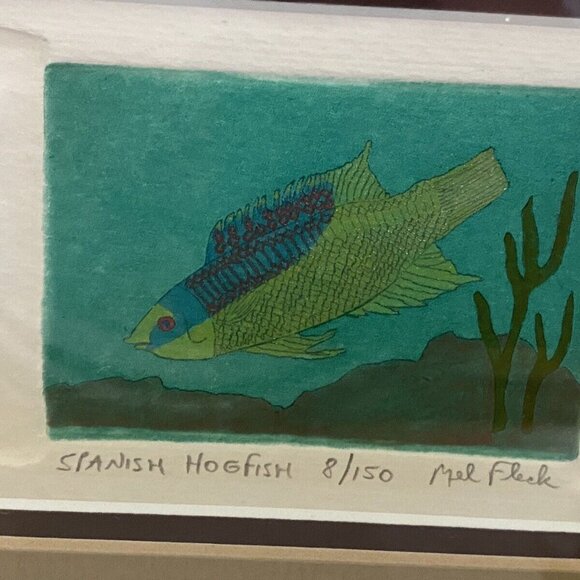 Mel Fleck Spanish Hogfish Art Signed Framed Original Print 8 of 150‎ 3 D Collage - Picture 5 of 16